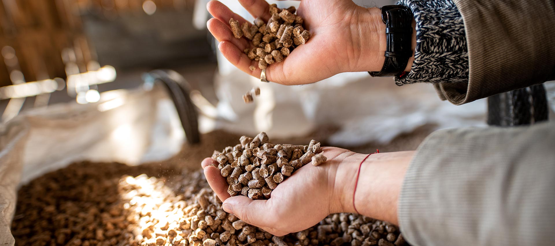 Granul�s de Bois de qualit�