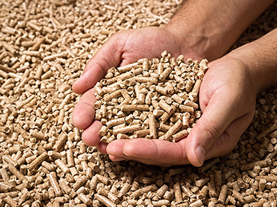 Le Granul� de Bois